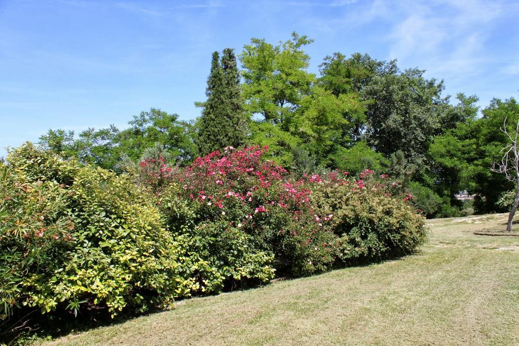 Villa Melagrana Fano Habitación foto